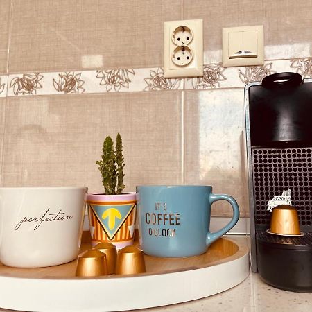 Apartament Timisoara Daire Dış mekan fotoğraf