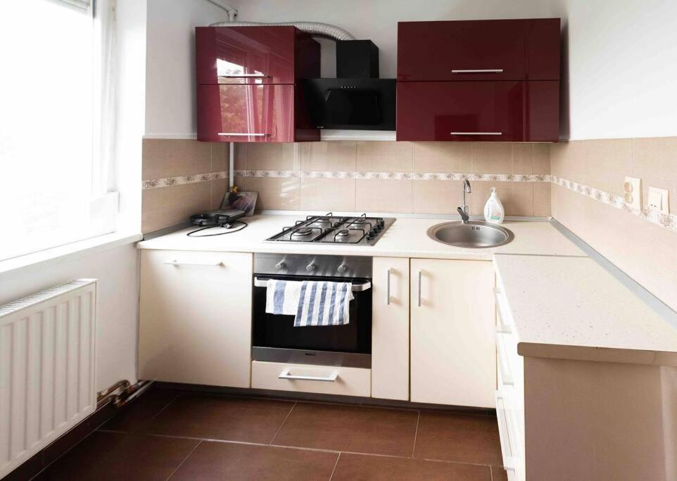 Apartament Timisoara Daire Dış mekan fotoğraf