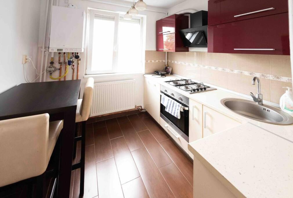 Apartament Timisoara Daire Dış mekan fotoğraf